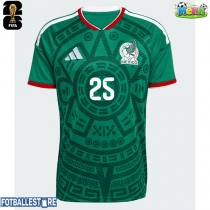 Mexico Roberto Alvarado #25 Hjemmedrakt VM 2026 Kortermet